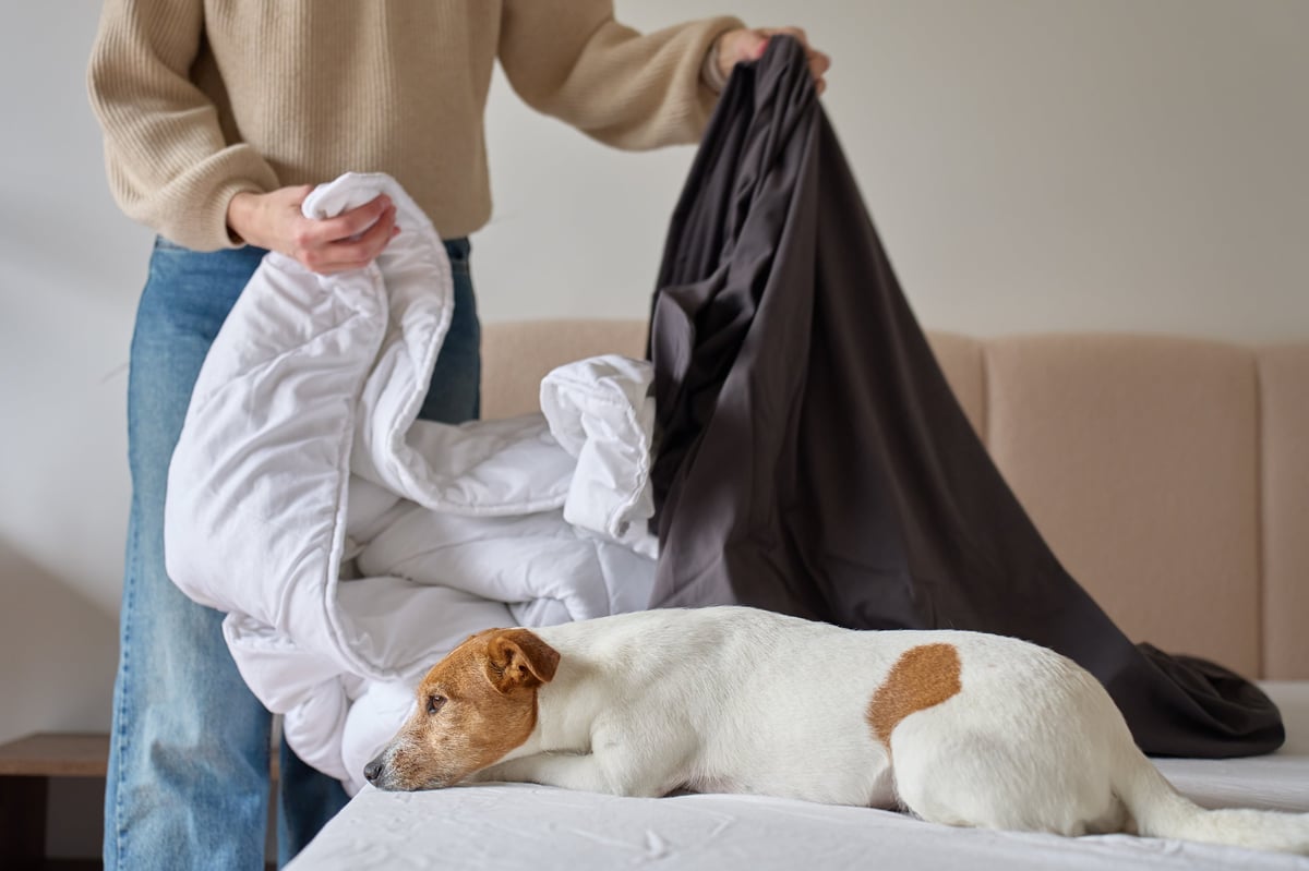 Woman changing a dark duvet cover while a dog rests on the bed